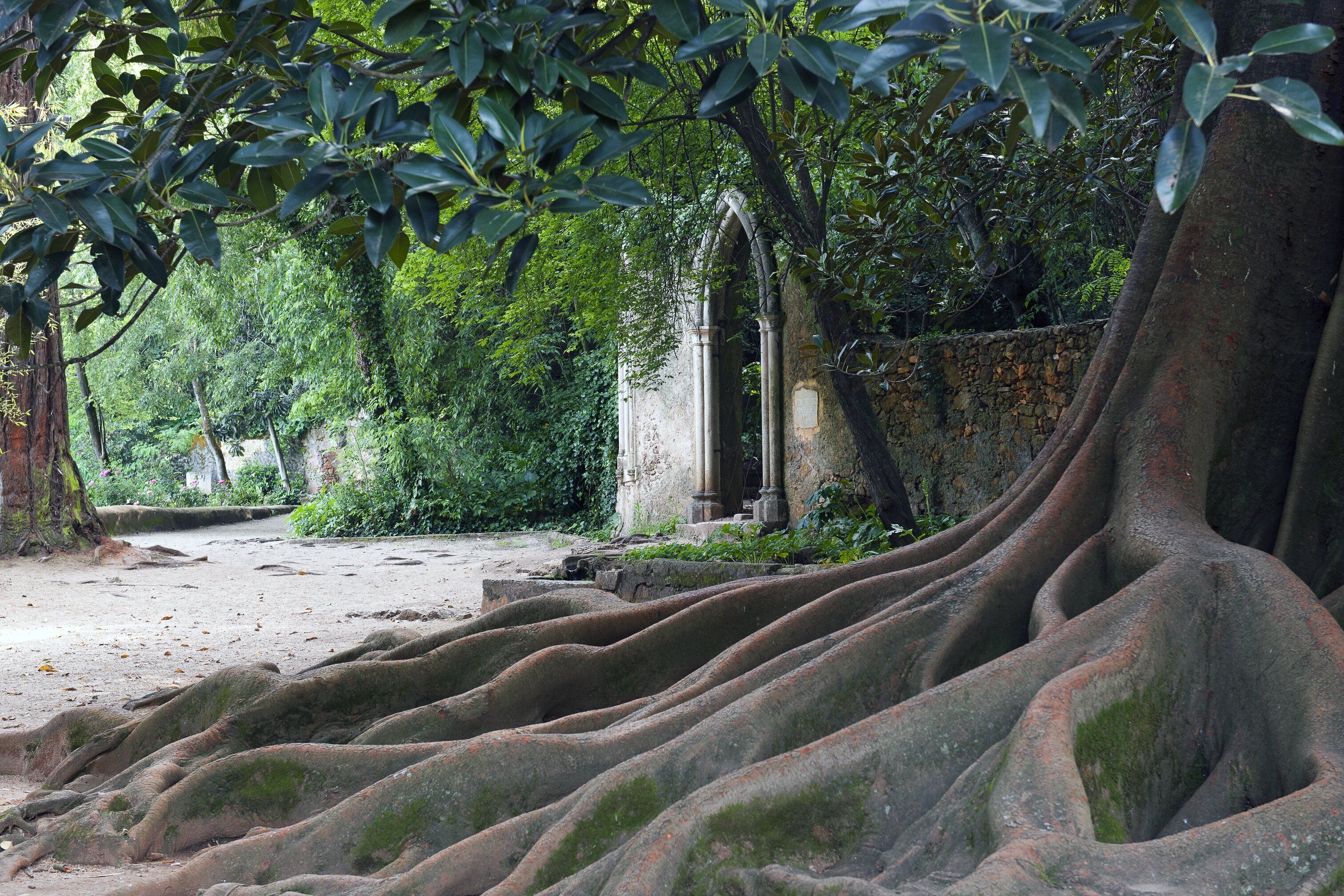 Foto - Hotel Quinta das Lagrimas - Small Luxury Hotels