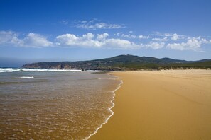 Beach nearby, white sand, beach towels, windsurfing
