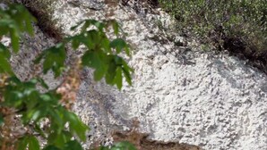 Exterior detail - Les Hautes Roches (Rochecorbon)