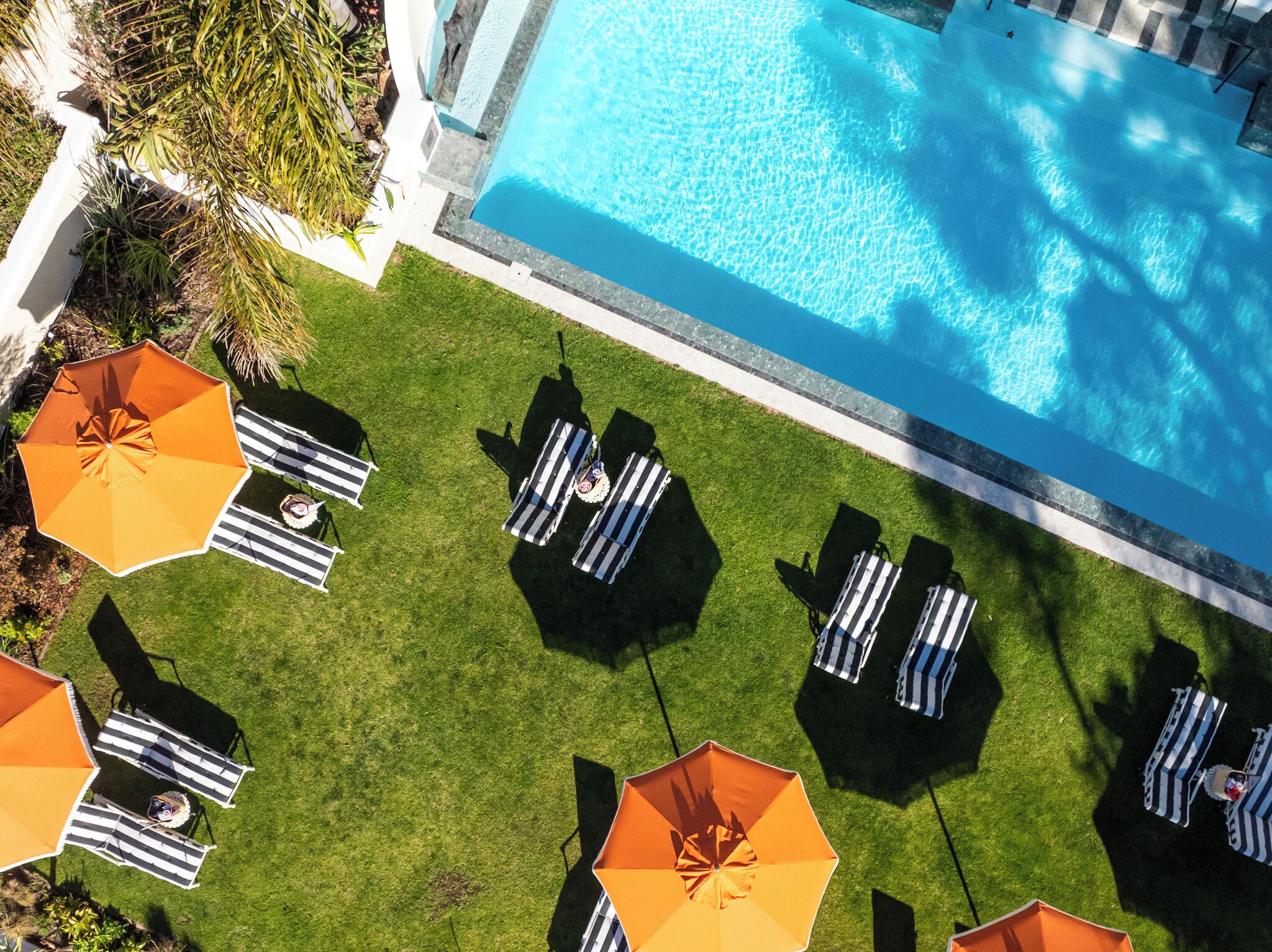 An aerial view of a swimming pool with lounge chairs and umbrellas arranged on a grassy area.
