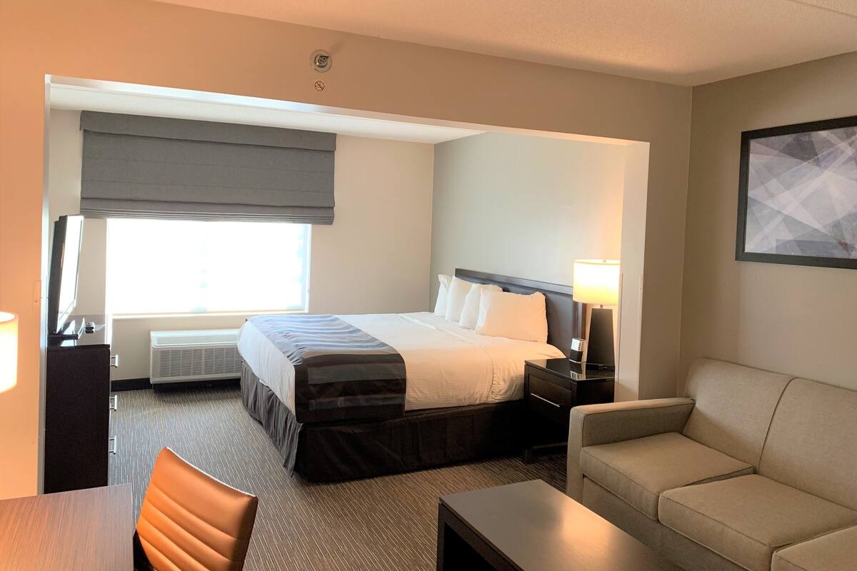 A hotel room with a bed, bedside table, lamp, and a sofa.
