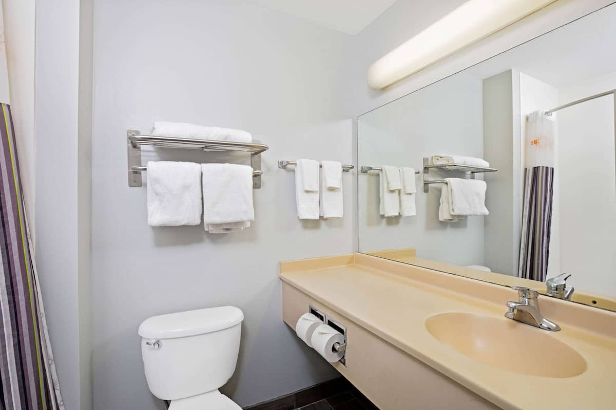 combined shower/bathtub, free toiletries, hair dryer, towels