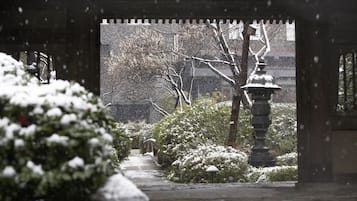 A snow-covered garden pathway leading to a traditional building with a lantern.