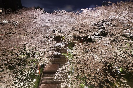 Grand Prince Hotel Takanawa - Image 71