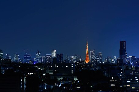Grand Prince Hotel Takanawa - Image 11