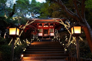 Japanese garden