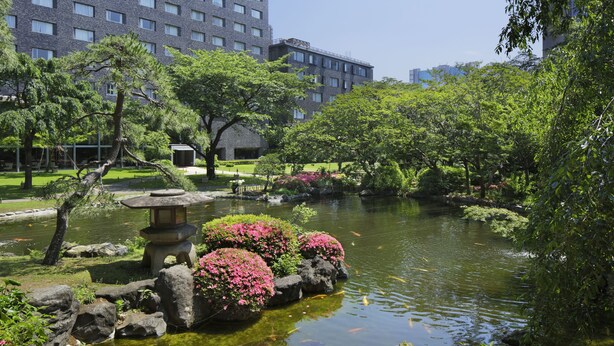 住宿景觀