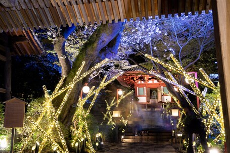 Grand Prince Hotel Takanawa - Image 51