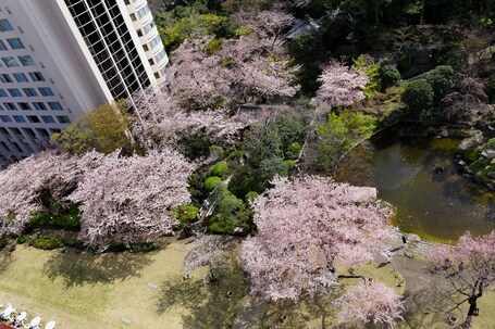 Grand Prince Hotel Takanawa - Image 67