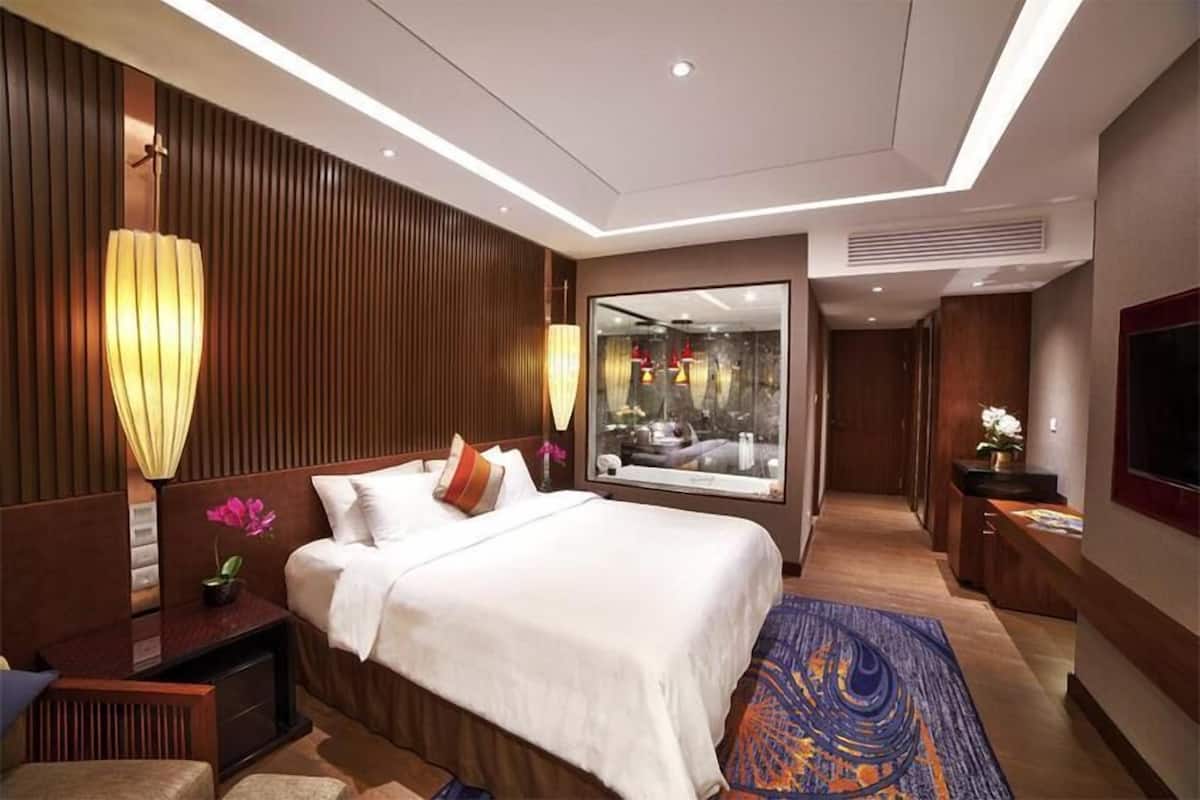 A modern hotel room with a large bed, a nightstand, a lamp, a window with a view, and a TV.