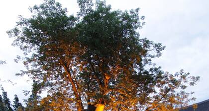 Cresta Mowana Safari Resort & Spa