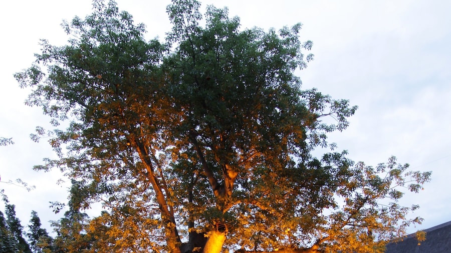 Cresta Mowana Safari 水疗度假村