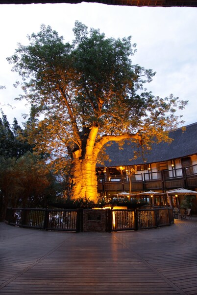 Cresta Mowana Safari 水疗度假村