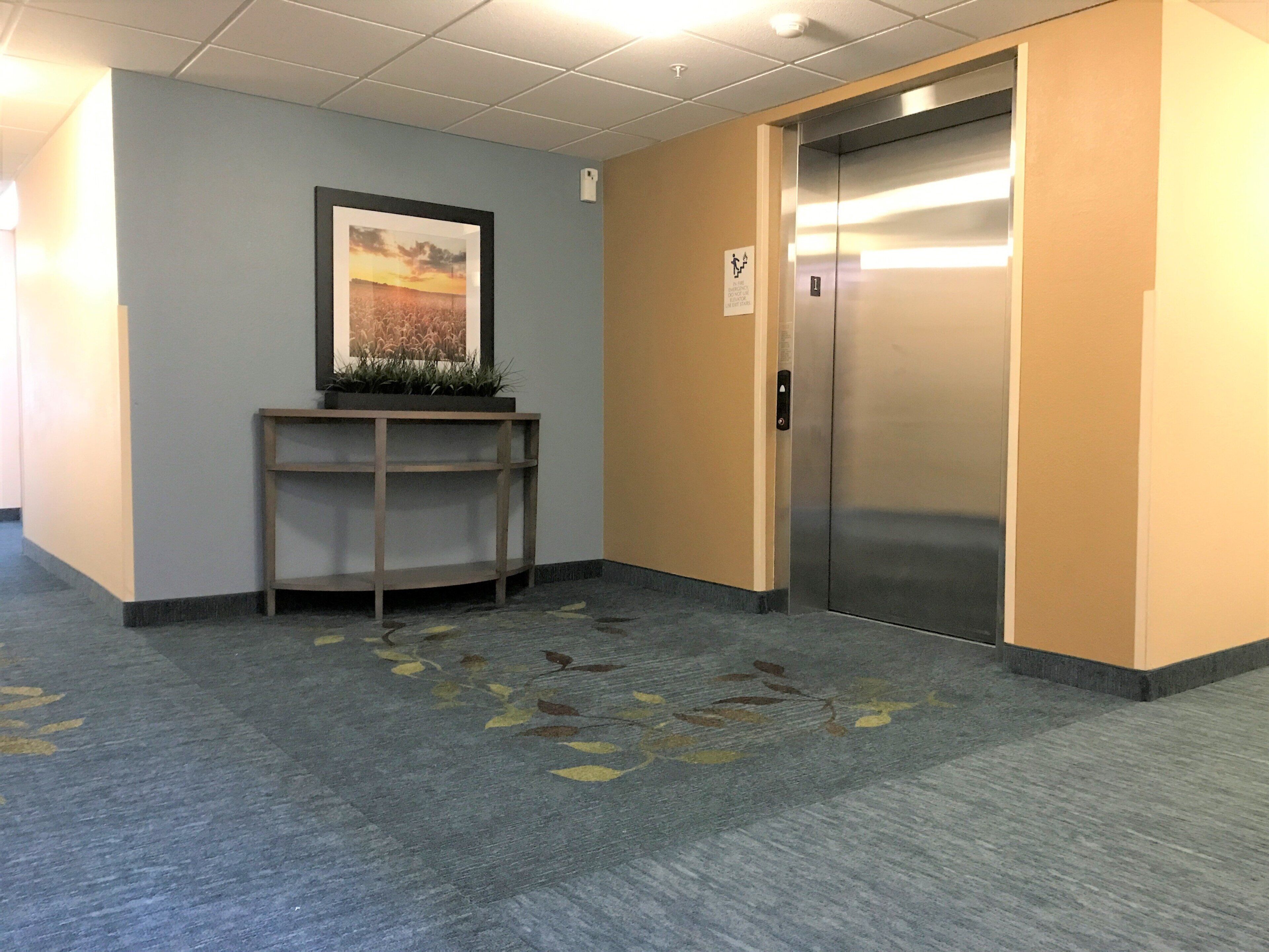 A hallway with a wall-mounted plant, a framed picture, and an elevator.