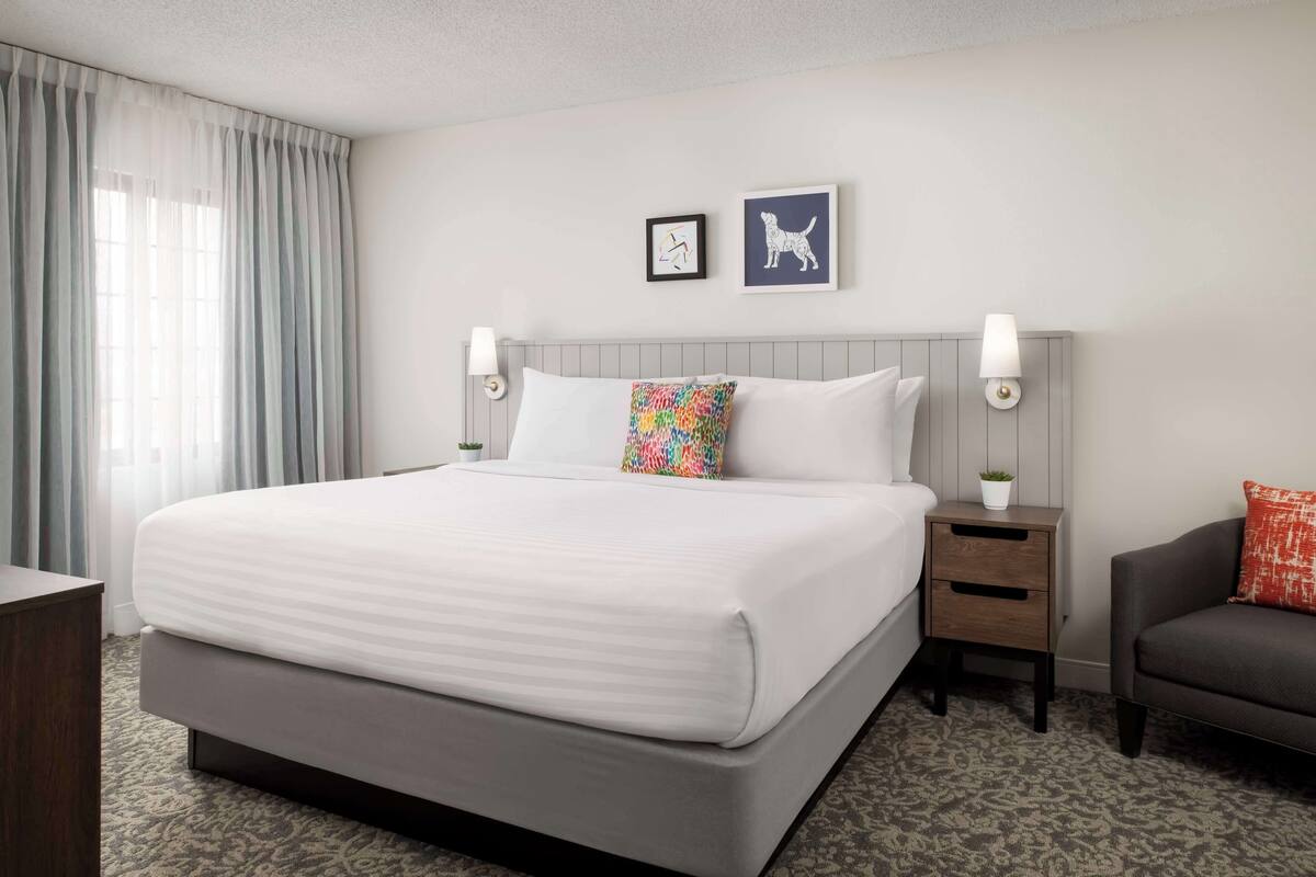 A hotel room with a large bed, two bedside tables, a gray sofa, and a window with curtains.