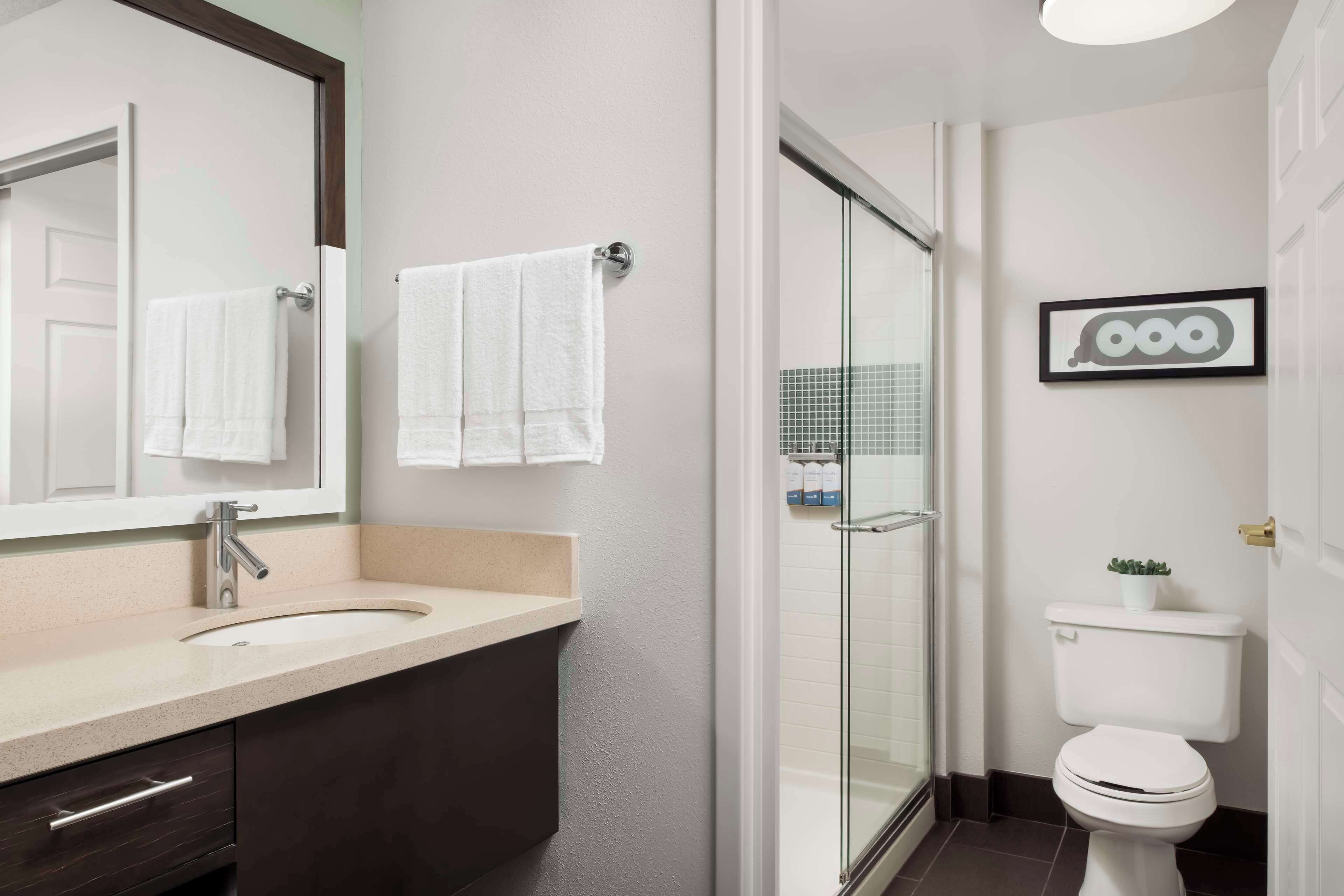 Un baño moderno con un espejo grande, un lavabo, un inodoro y una zona de ducha.