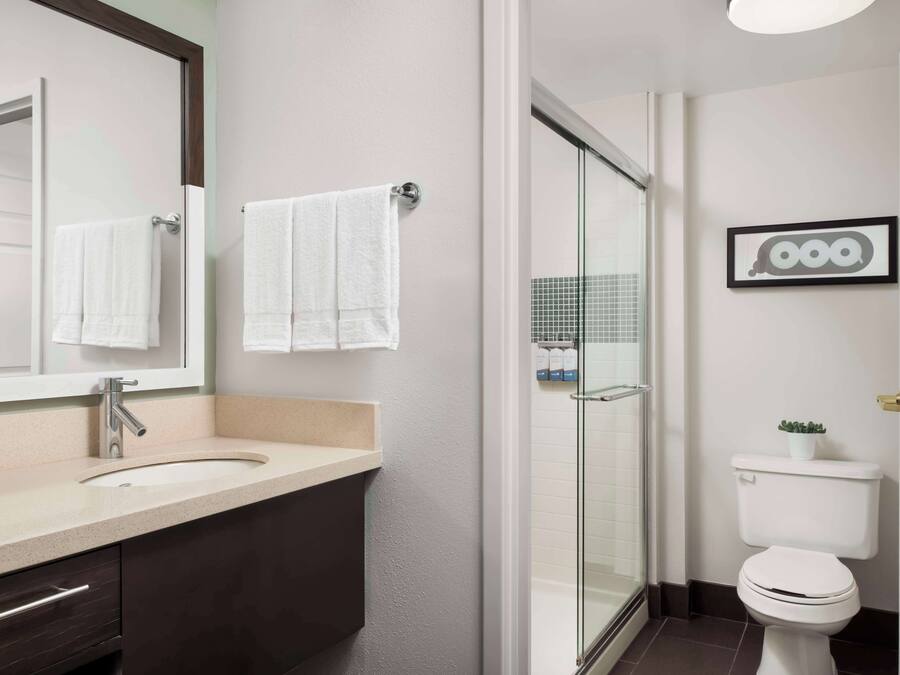 Un baño moderno con un espejo grande, un lavabo, un inodoro y una zona de ducha.