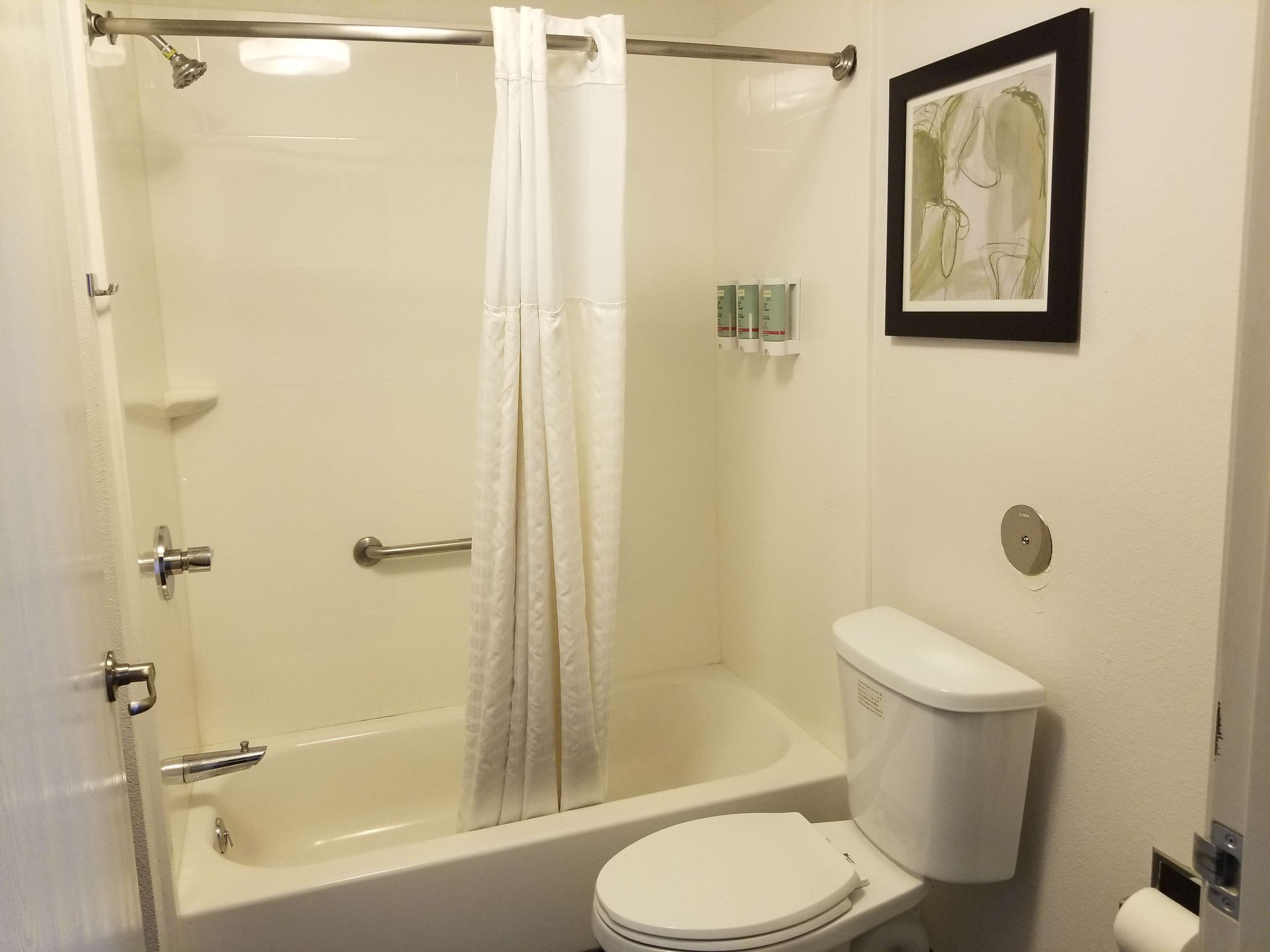 A bathroom with a bathtub, toilet, and shower curtain.