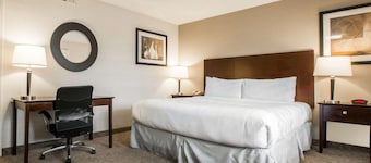 Rodeway Inn Los Angeles Convention Center