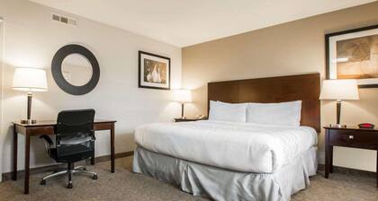 Rodeway Inn Los Angeles Convention Center