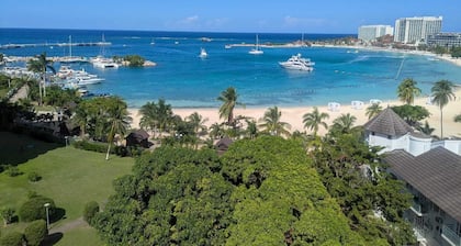 Beach Side Condos at Turtle Beach Towers