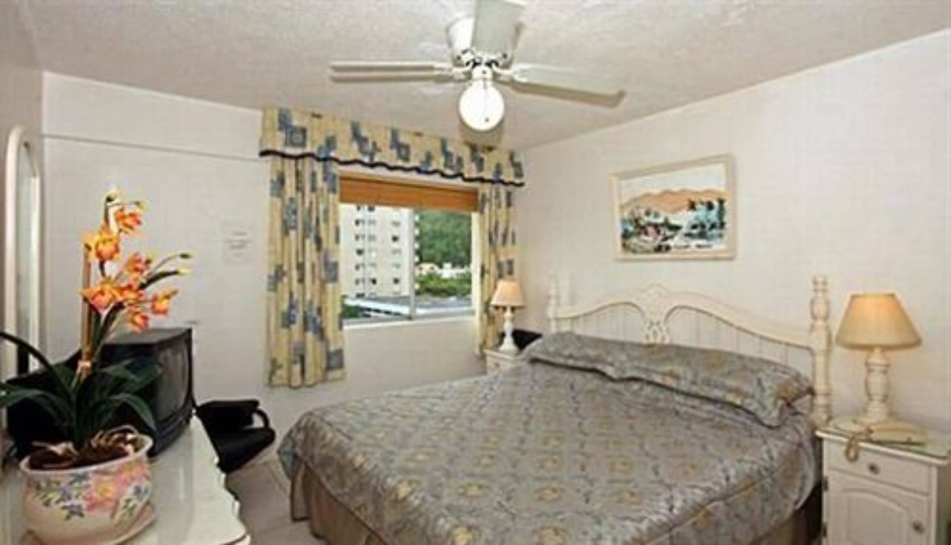 A bedroom with a bed, a ceiling fan, a window with curtains, a bedside table with a lamp, and a potted plant.