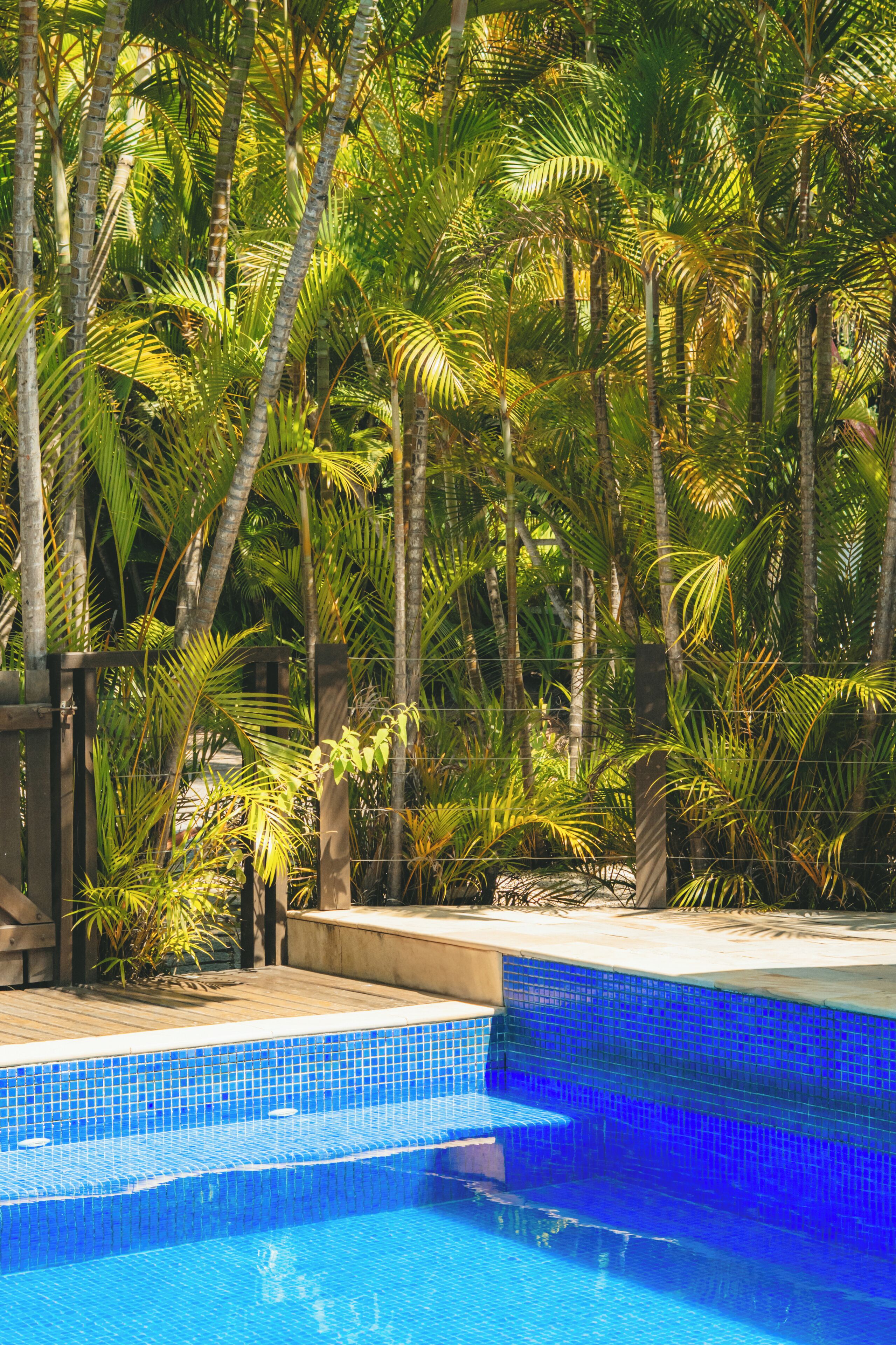 A swimming pool with blue mosaic tiles, surrounded by lush green palm trees and a wooden deck.