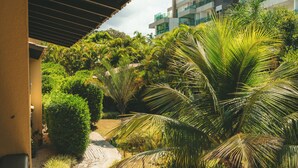 Un sendero rodeado de exuberante follaje y palmeras, que conduce a un edificio de diseño moderno.