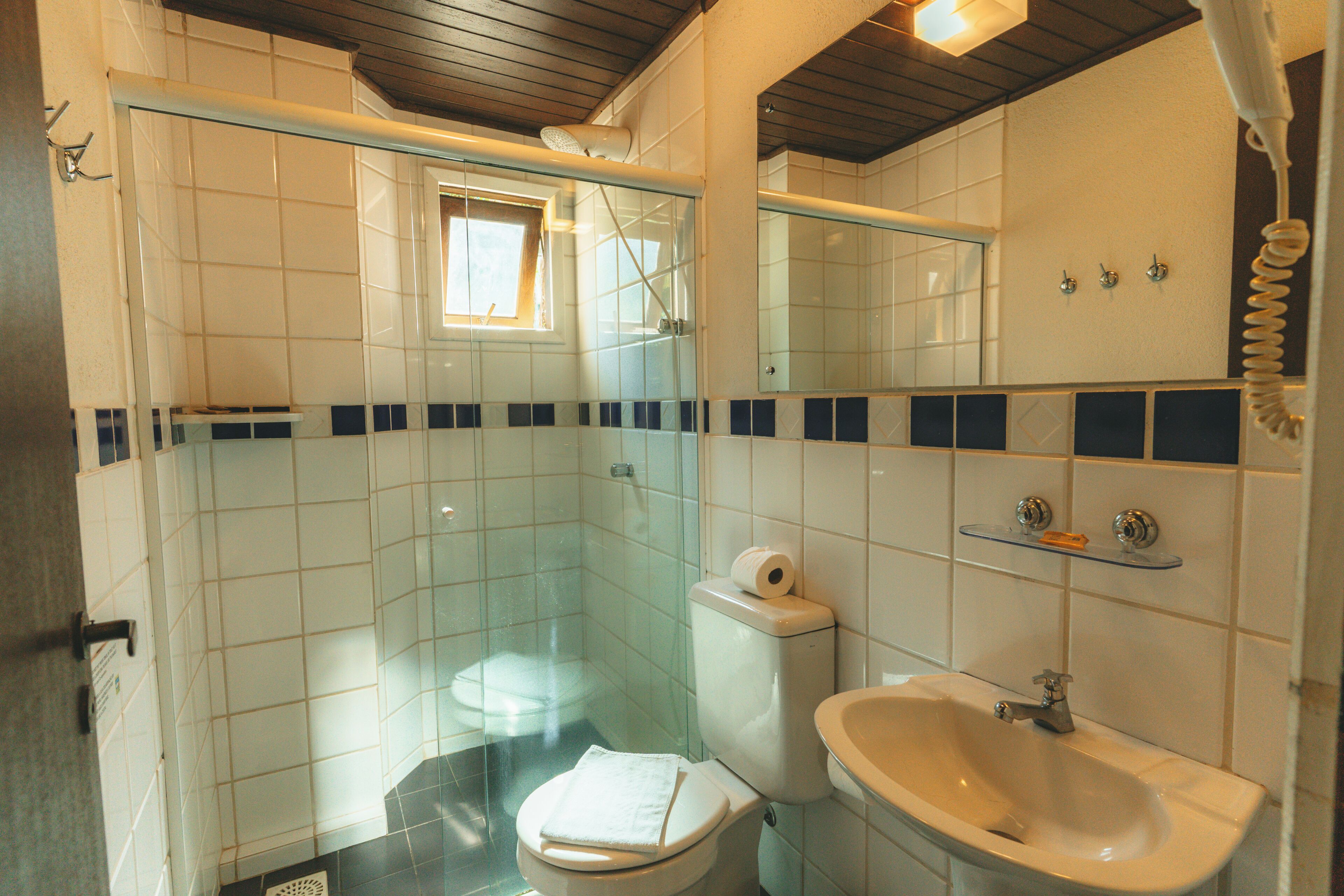 A bathroom with a glass shower enclosure, a toilet, a sink, and a mirror.