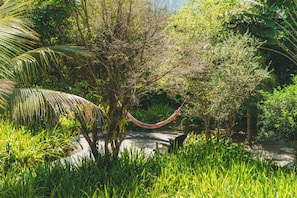 Vườn