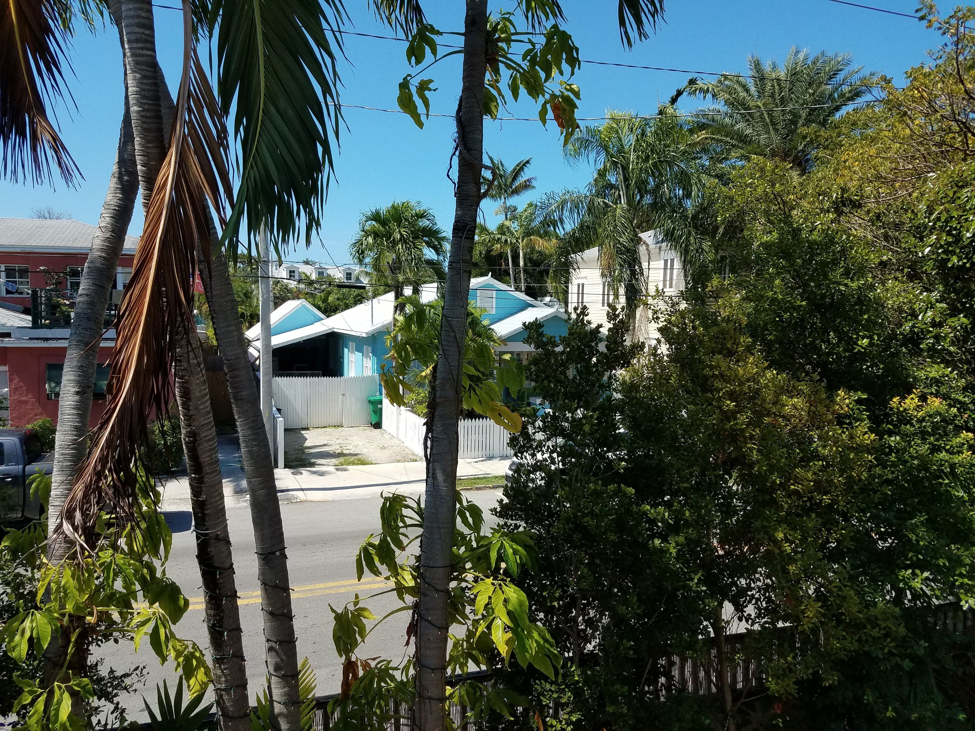 Un quartier résidentiel avec des maisons, un ciel dégagé et des palmiers.