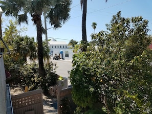 Vista desde la propiedad