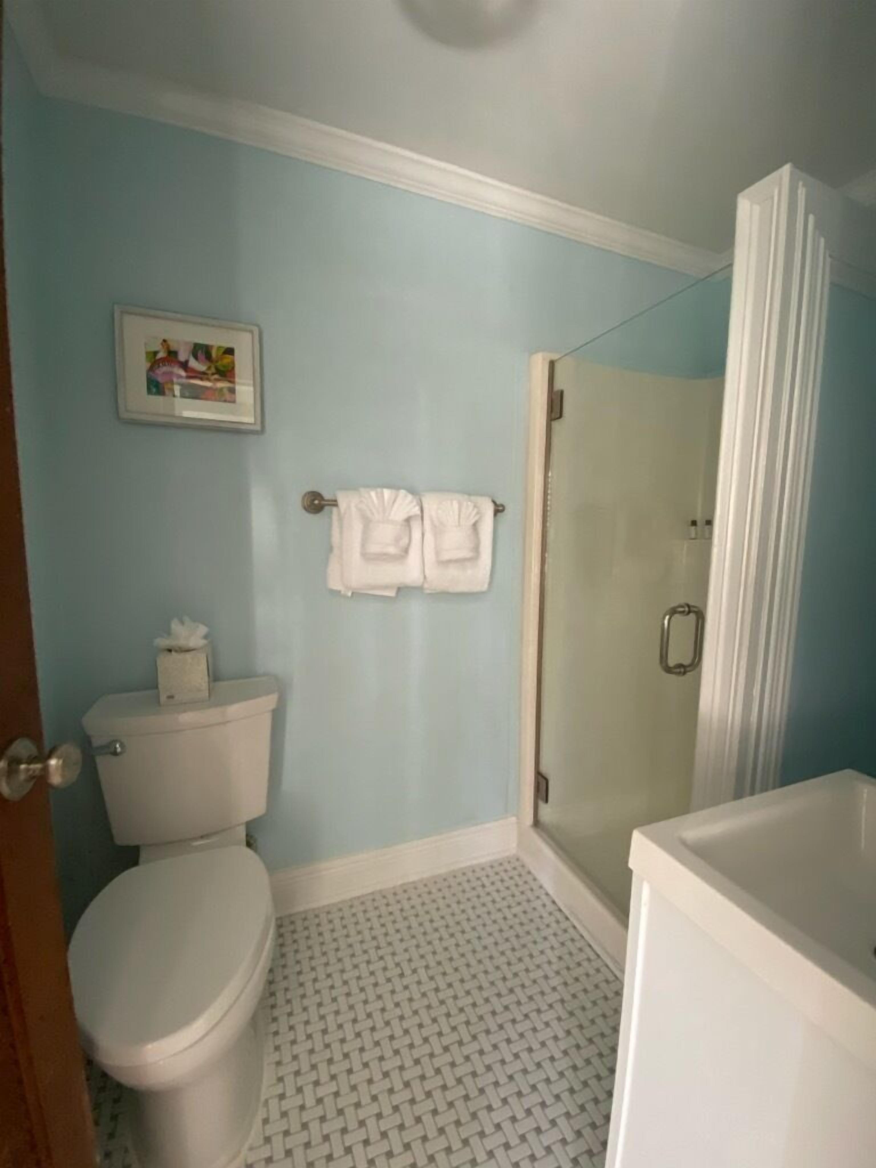Een badkamer met een toilet, een douche en een wastafel.