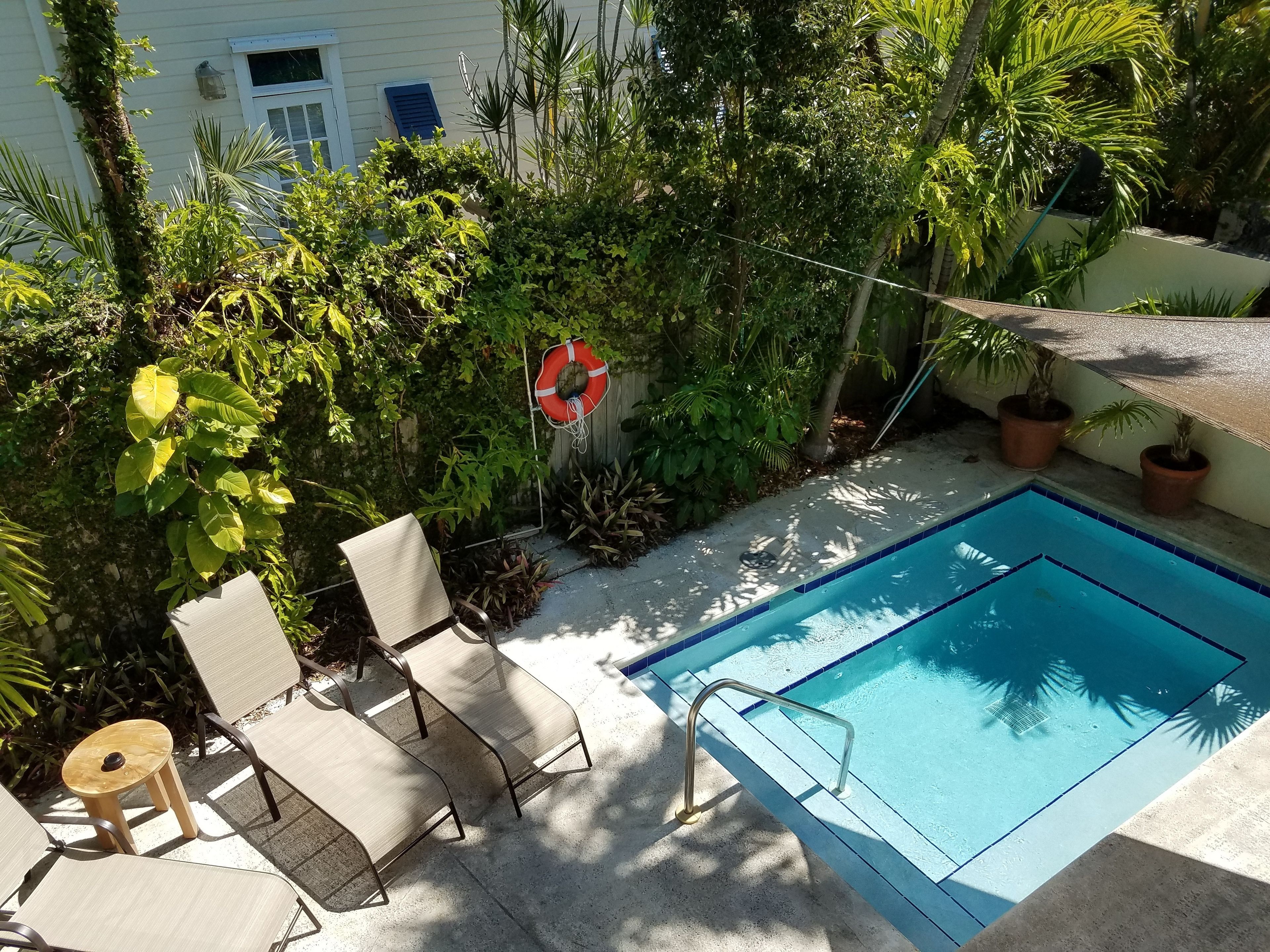 A swimming pool with a metal ladder, surrounded by potted plants and a white building with a window.