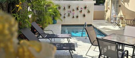 Área da piscina com espreguiçadeiras, uma mesa e plantas em vasos.