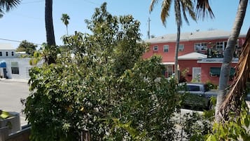 Vista da rua com um edifício vermelho, um edifício branco com toldo azul e uma árvore em primeiro plano.
