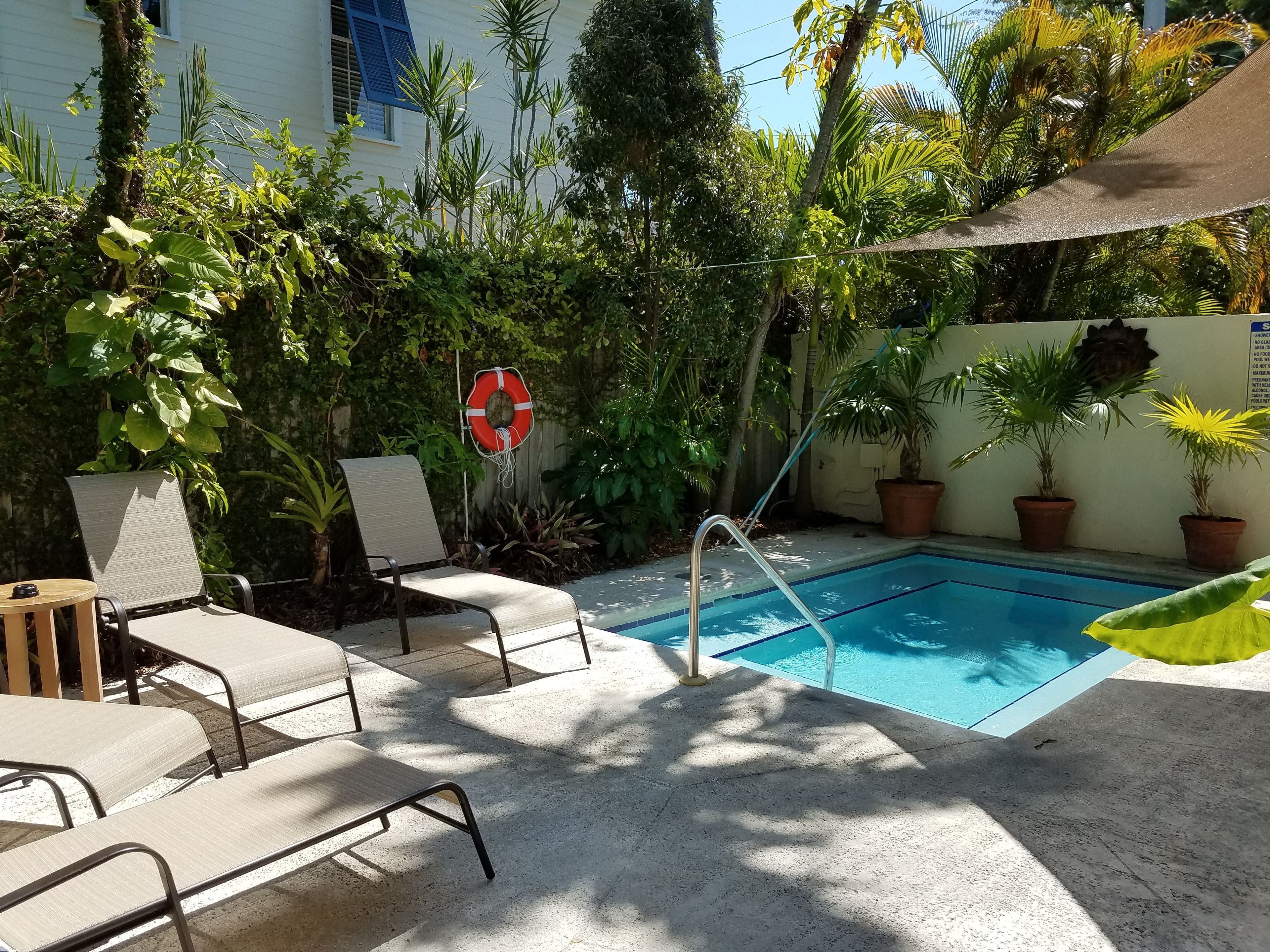 Outdoor pool, sun loungers