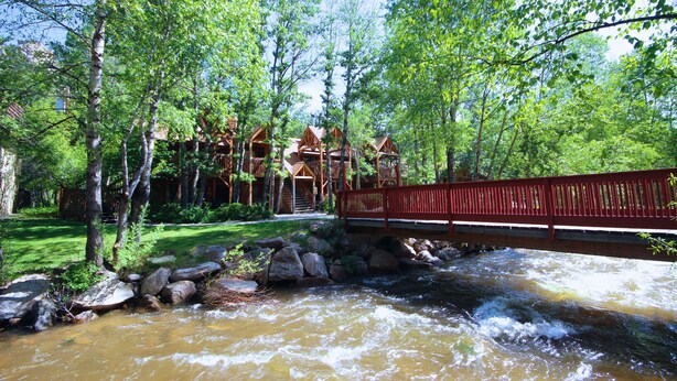 A wooden bridge over a flowing stream, surrounded by lush greenery and trees.