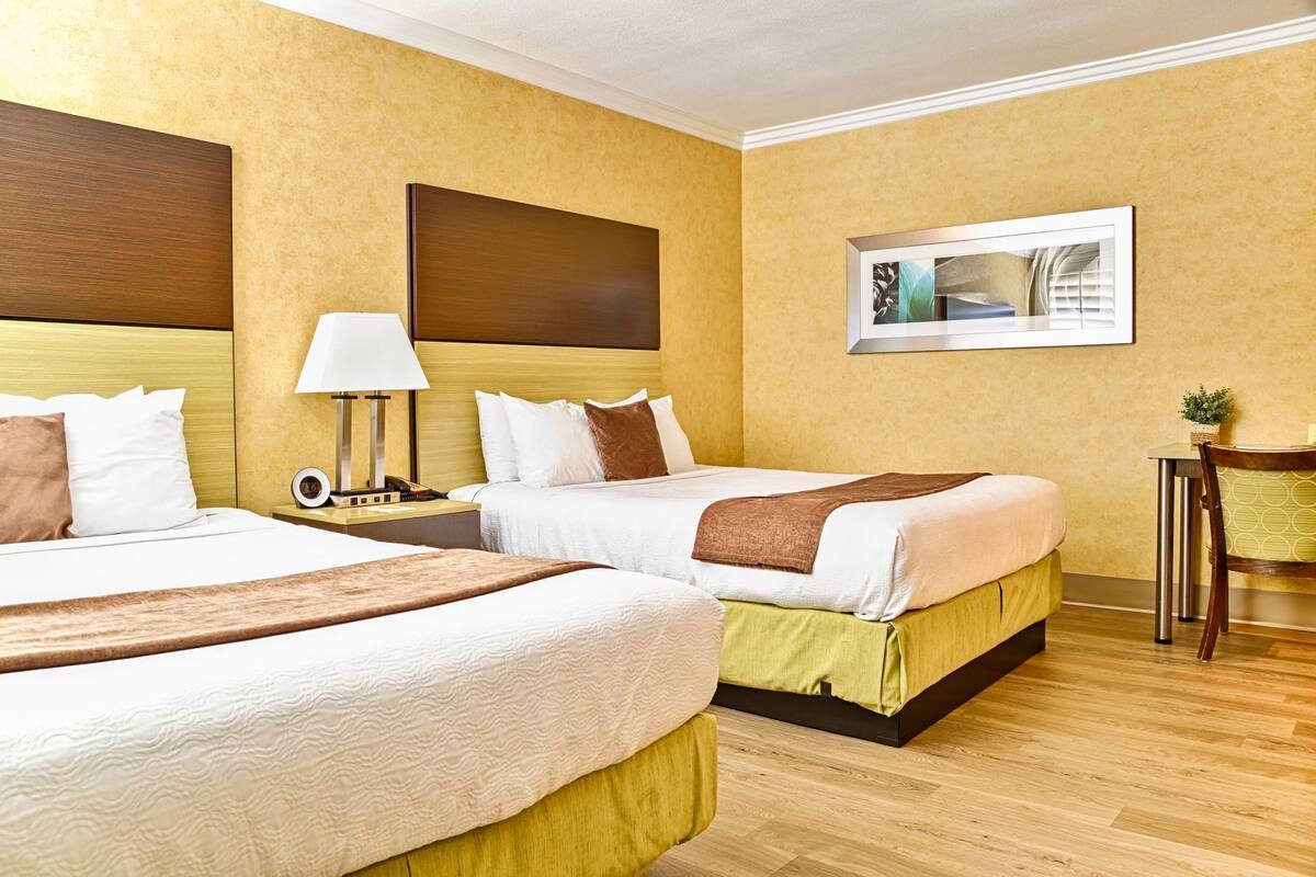 Une chambre d’hôtel avec deux lits, une table de chevet avec une lampe, une chaise, une petite table avec une plante et un tableau encadré au mur.