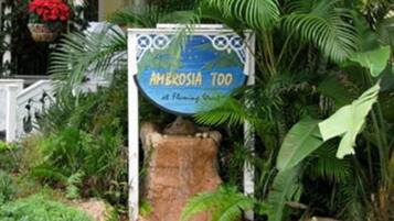 En skylt med texten ”AMBROSIA TOO” placerad i en trädgård med frodig grönska och en stenstruktur.