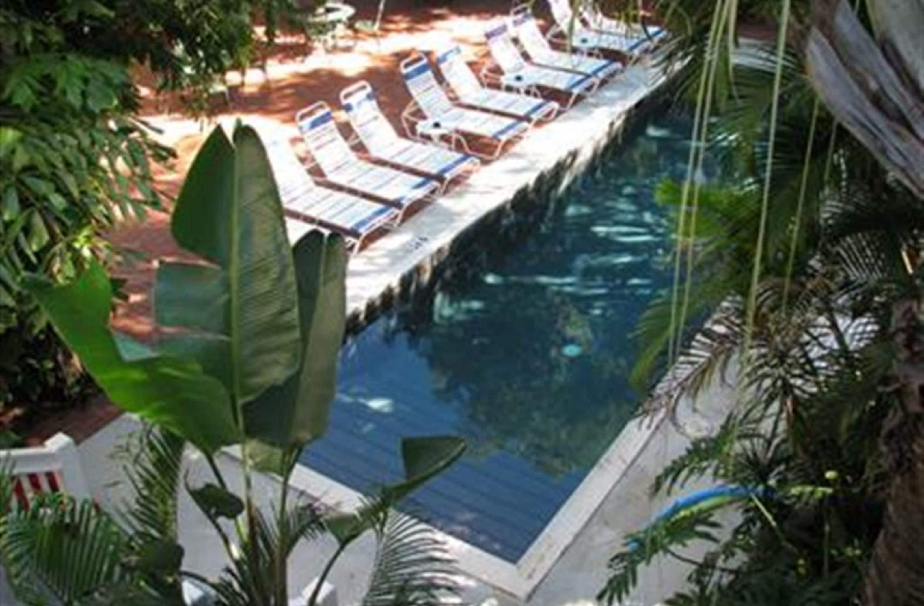 Foto - Ambrosia Key West