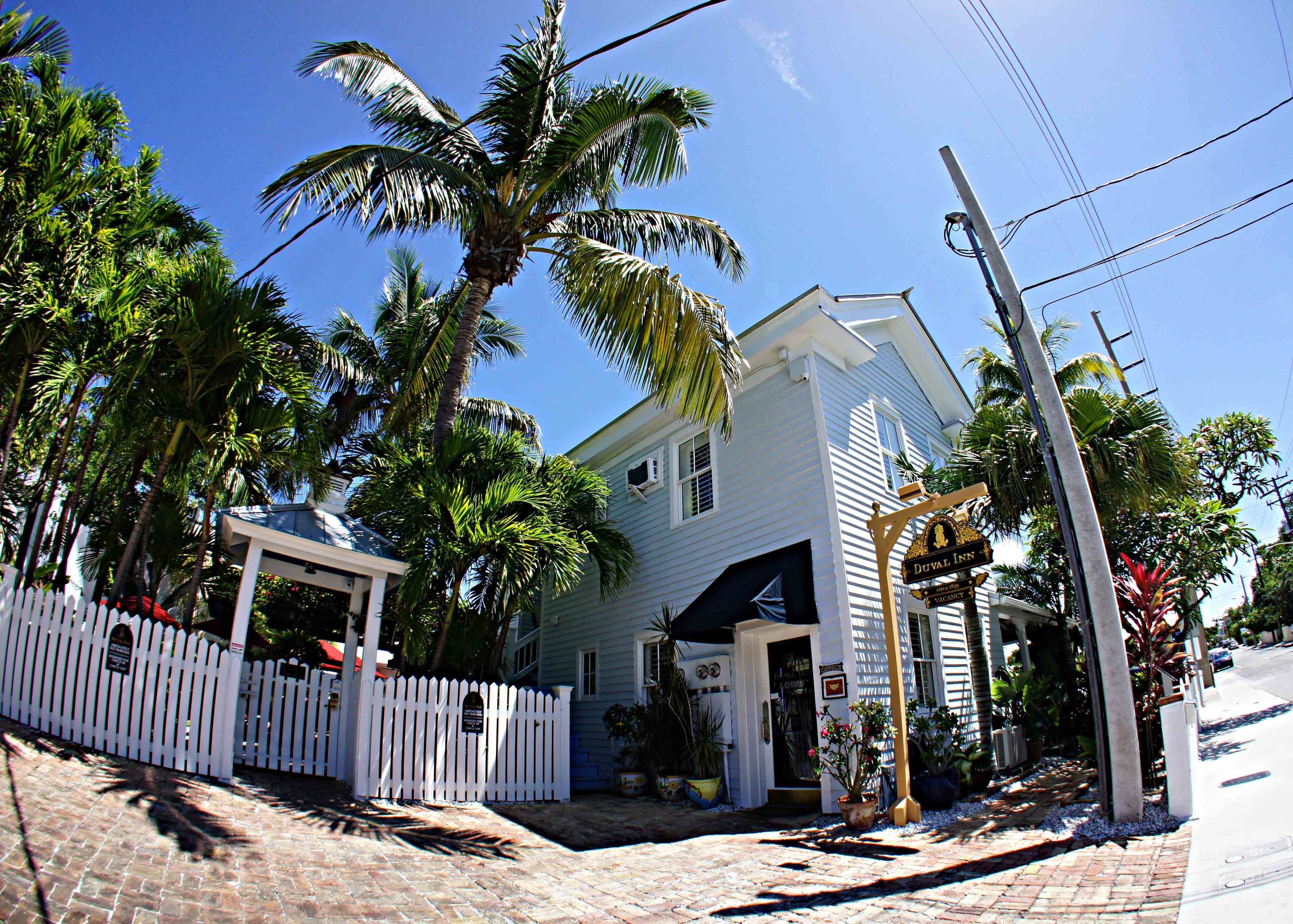 Foto - Duval Inn - Key West