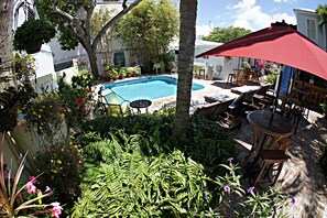 Una piscina rodeada de exuberante vegetación y mobiliario exterior.