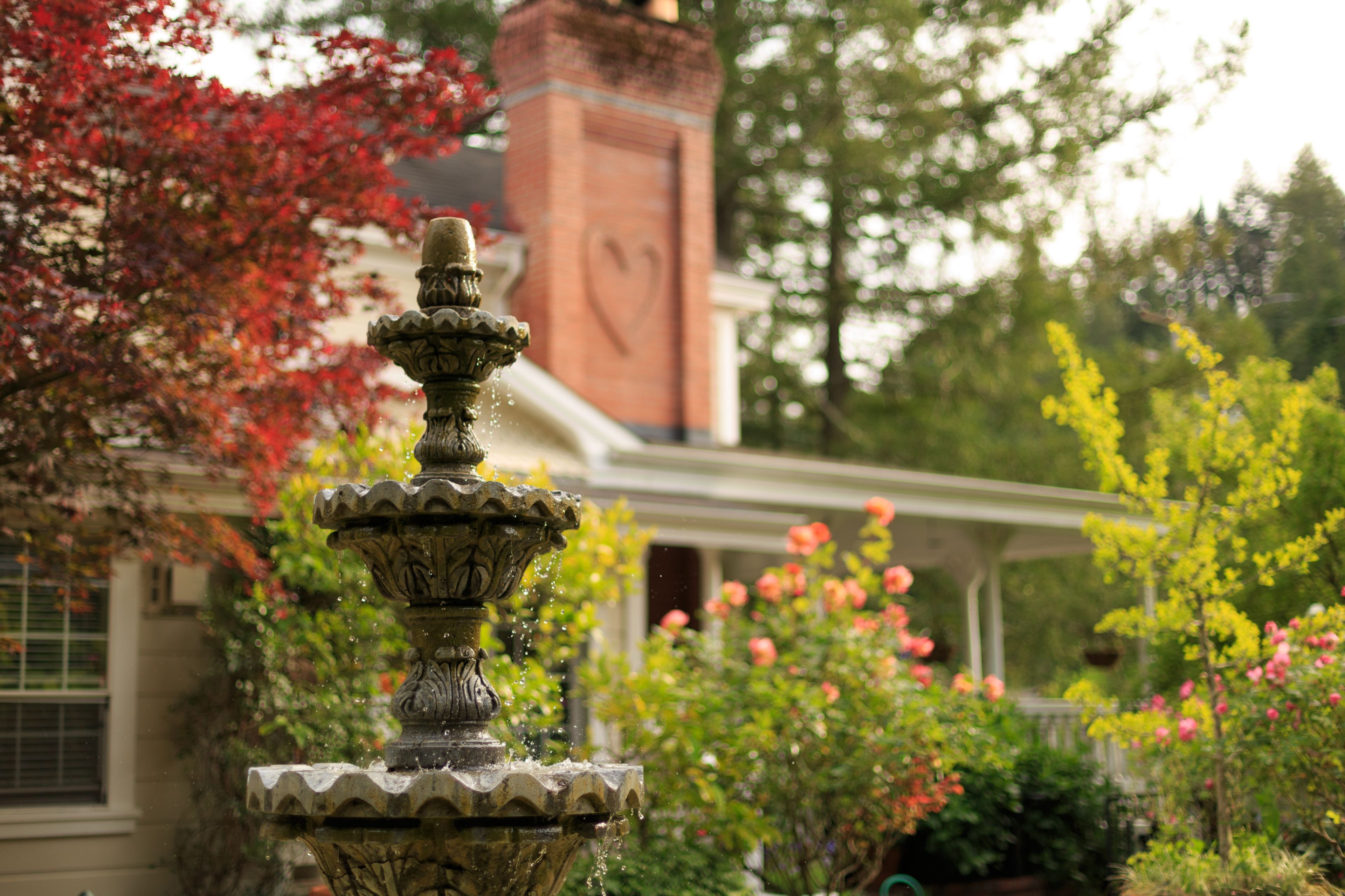 A stone fountain with water spouting from its top, surrounded by lush greenery and flowering plants.