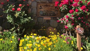 A stone wall with a plaque, surrounded by vibrant flowers and a wheelchair accessibility sign.