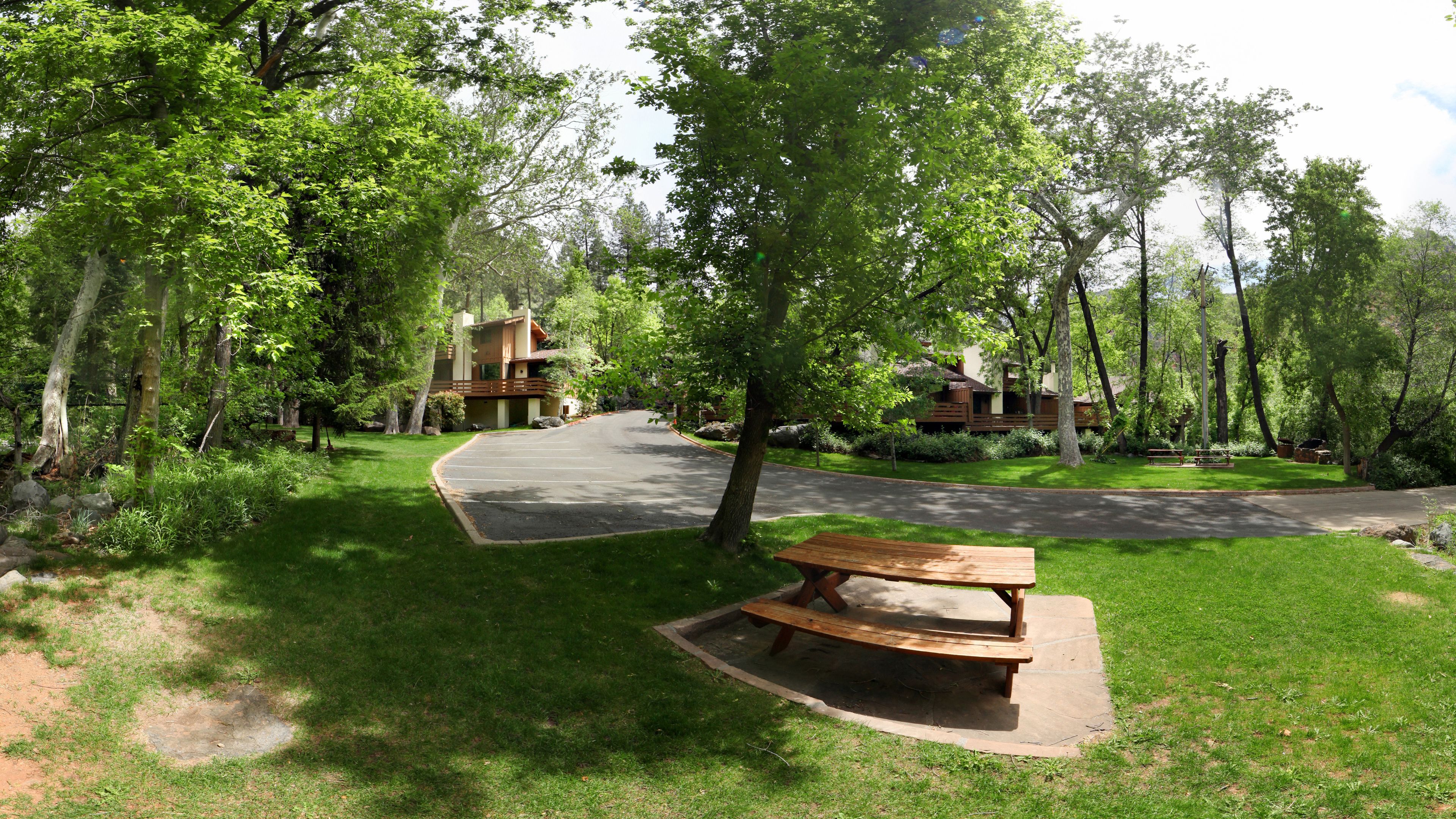 A park with picnic tables, a winding road, and cabins surrounded by trees.
