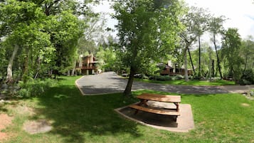 A park with picnic tables, a winding road, and cabins surrounded by trees.