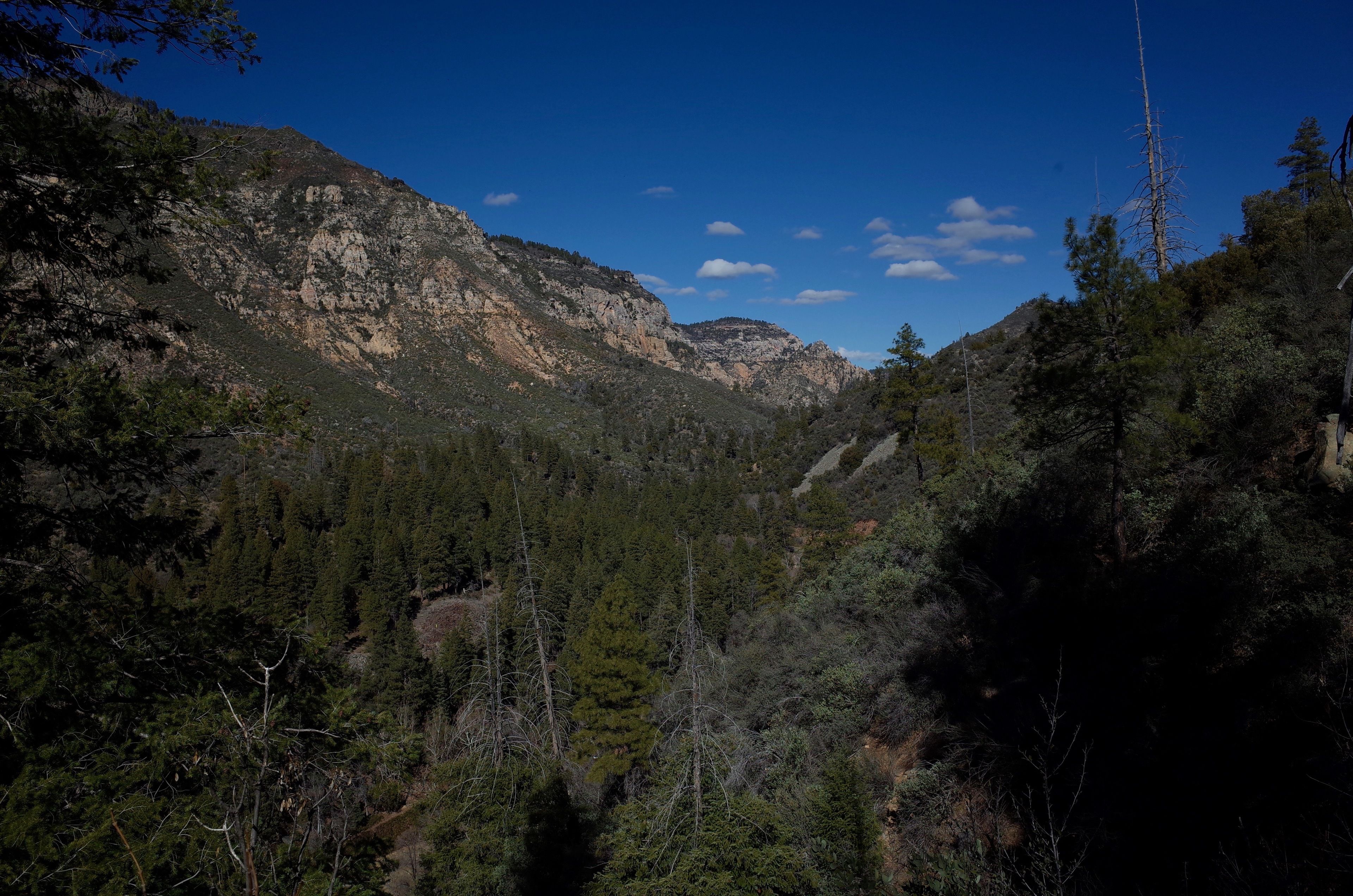 Un paisaje montañoso con bosques densos y riscos rocosos.