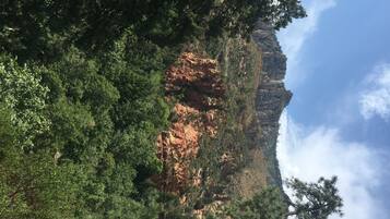 A mountainous landscape with dense forest and rocky cliffs.