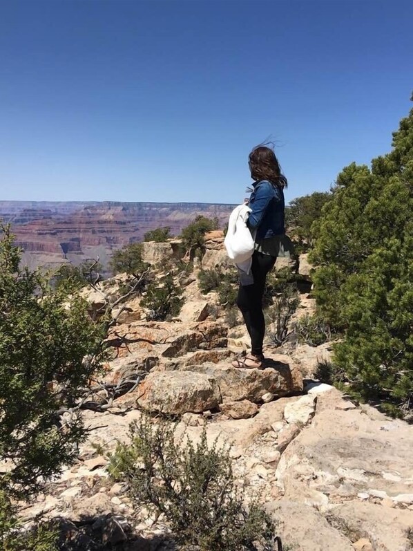 A person standing on rocky terrain with a view of a canyon in the background.